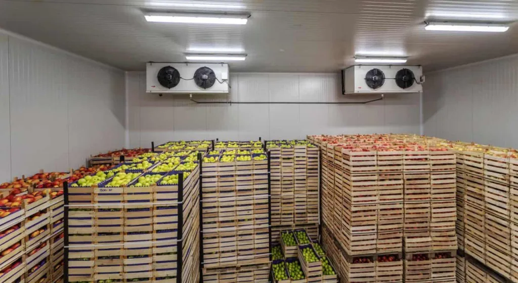 Cold Storage